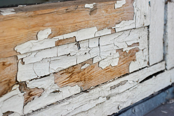 Madera reseca y descolorida